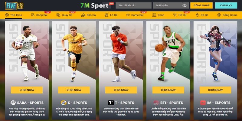 Các rào cản và giới hạn trong dịch vụ của cổng game