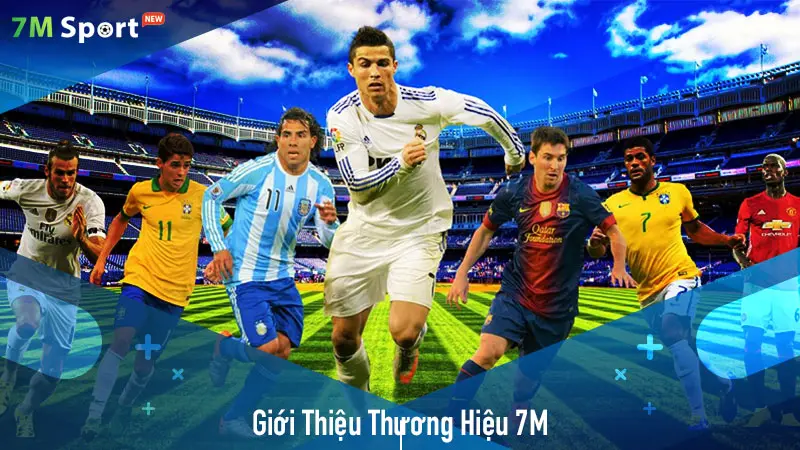 Tổng quan về thương hiệu 7M